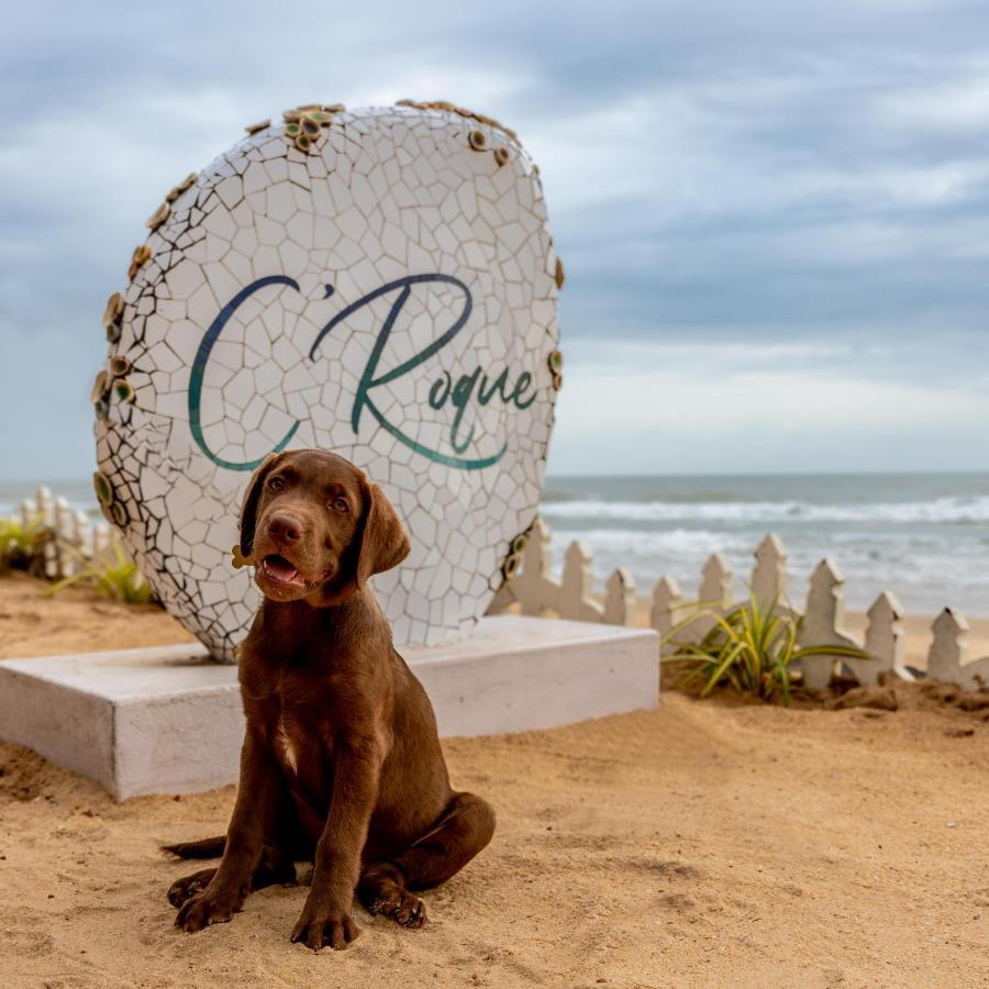 C Roque Beach Resort Colva Exteriér fotografie